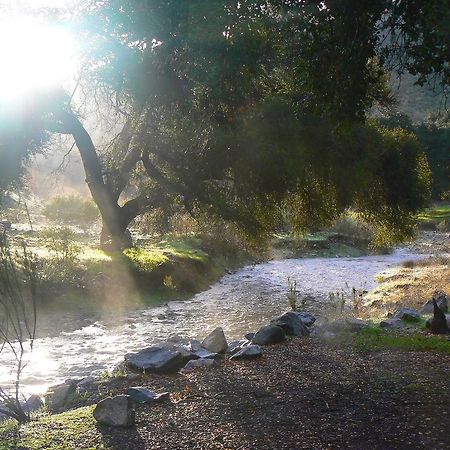Jamul Pio Pico Camping Resort Cottage 4 מראה חיצוני תמונה